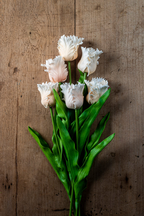 23" Light Peach Real Touch Parrot Tulip