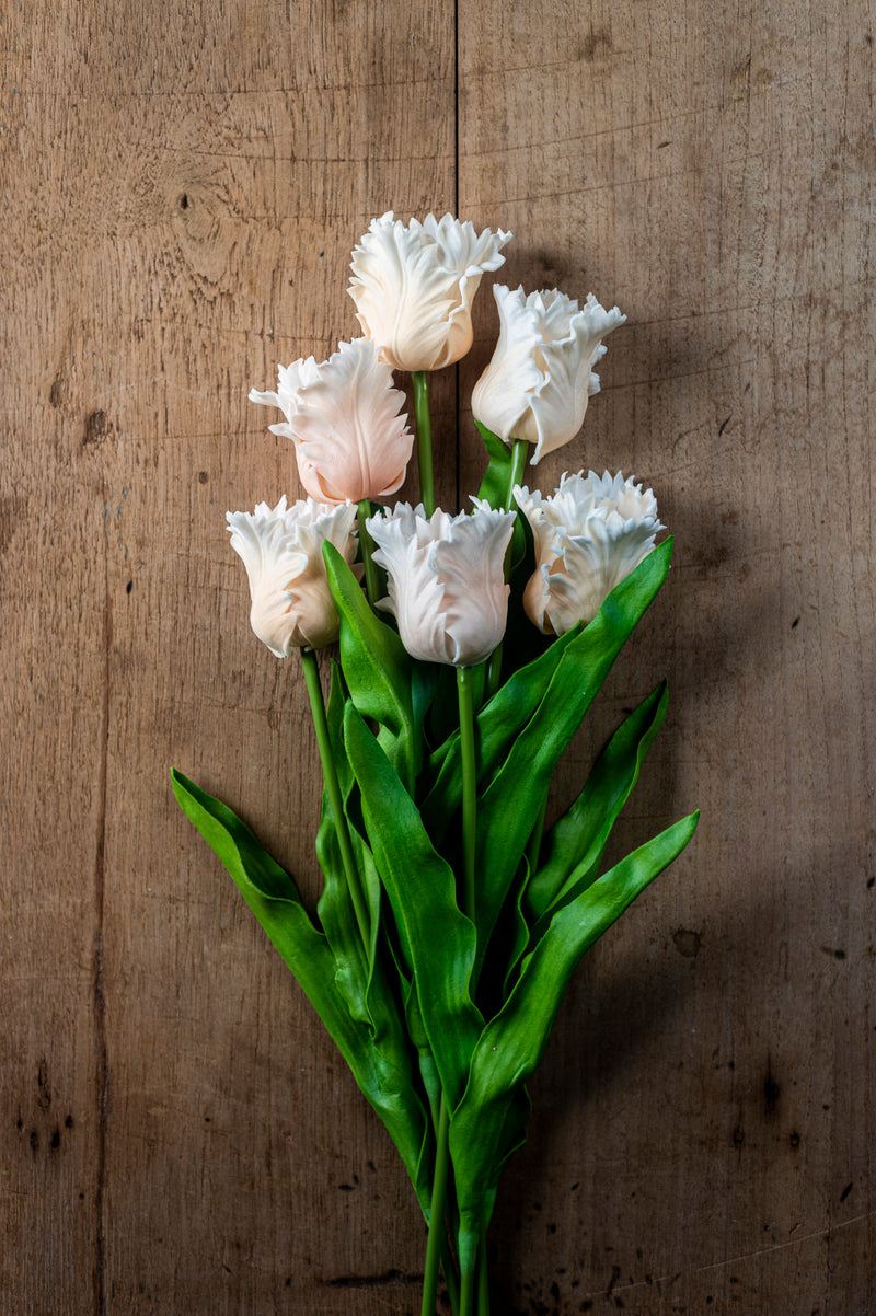 23" Light Peach Real Touch Parrot Tulip