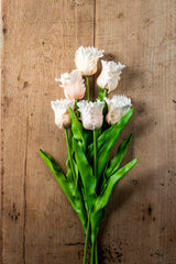 23" Light Peach Real Touch Parrot Tulip