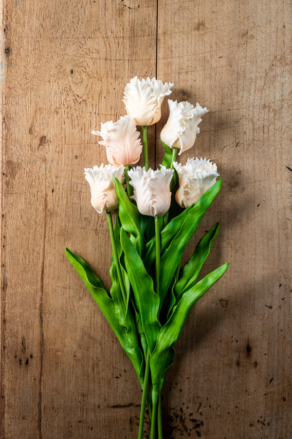 23" Light Peach Real Touch Parrot Tulip