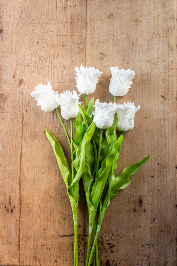 23" White Real Touch Parrot Tulip