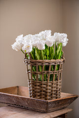 23" White Real Touch Parrot Tulip