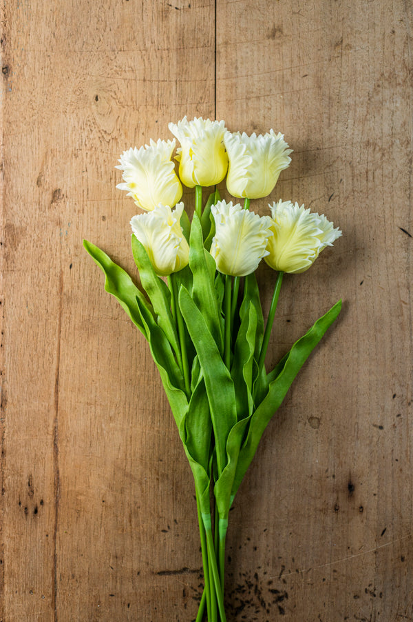 23" Yellow Real Touch Parrot Tulip