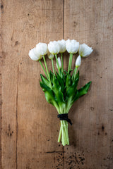 15" White Real Touch Tulip Bud & Bloom Bundle UV Protected (5 Stem)