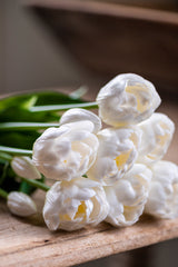 15" White Real Touch Tulip Bud & Bloom Bundle UV Protected (5 Stem)