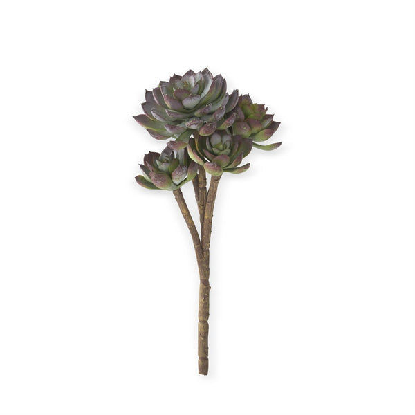 12" Powdered Green & Burgundy 5 Head Succulent Pick