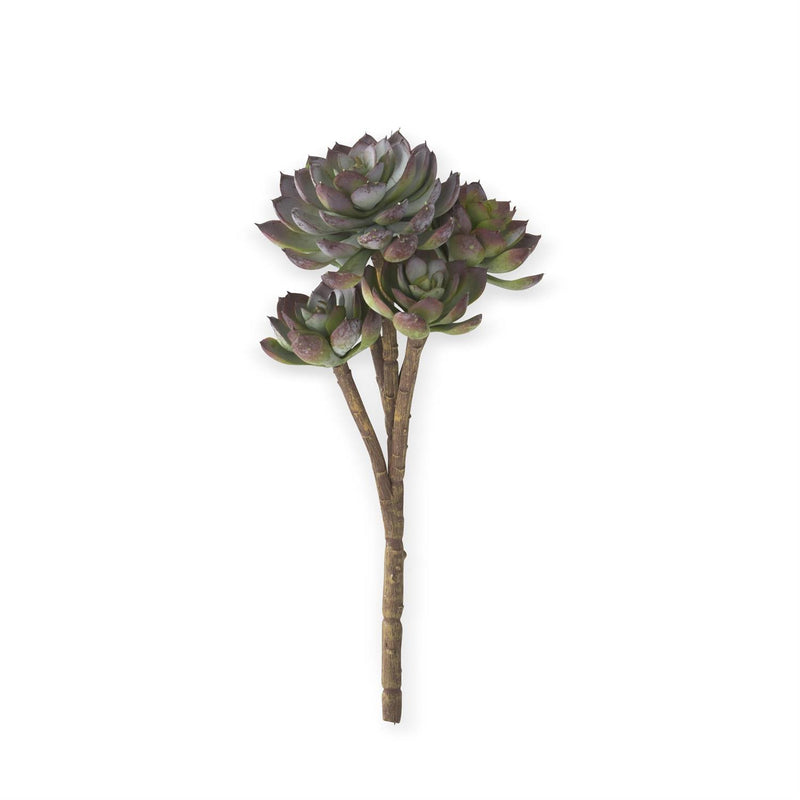 12" Powdered Green & Burgundy 5 Head Succulent Pick