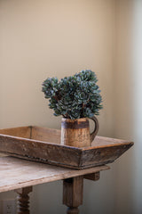 12" Powdered Green 5 Head Succulent Pick