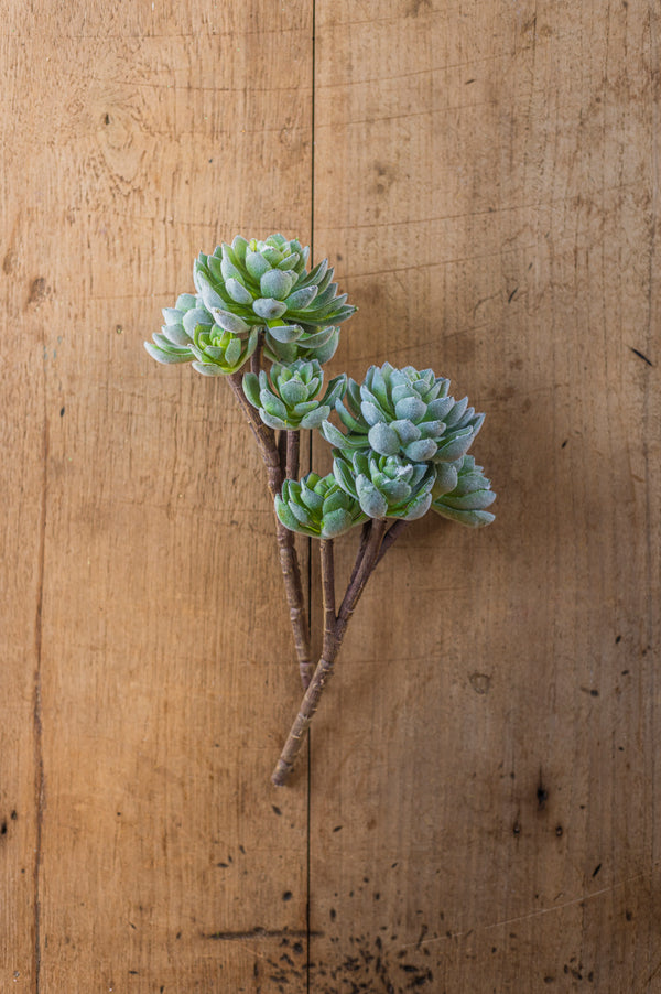 12" Flocked Green 5 Head Succulent Pick