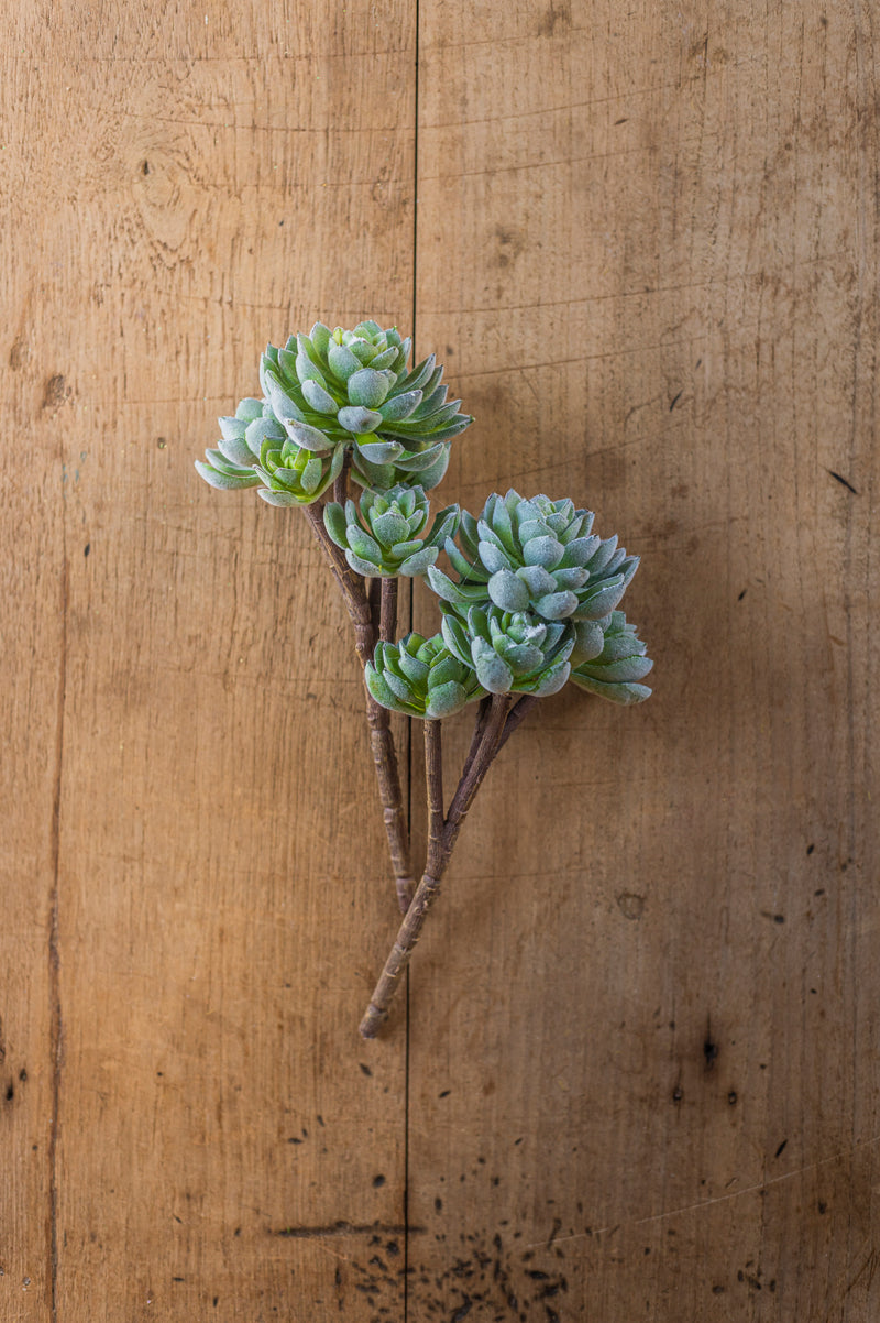 12" Flocked Green 5 Head Succulent Pick