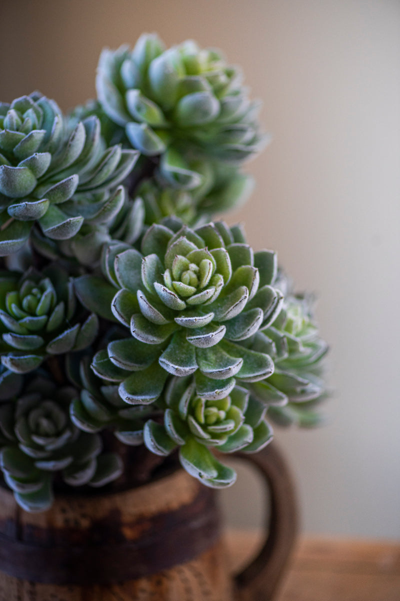 12" Flocked Green 5 Head Succulent Pick