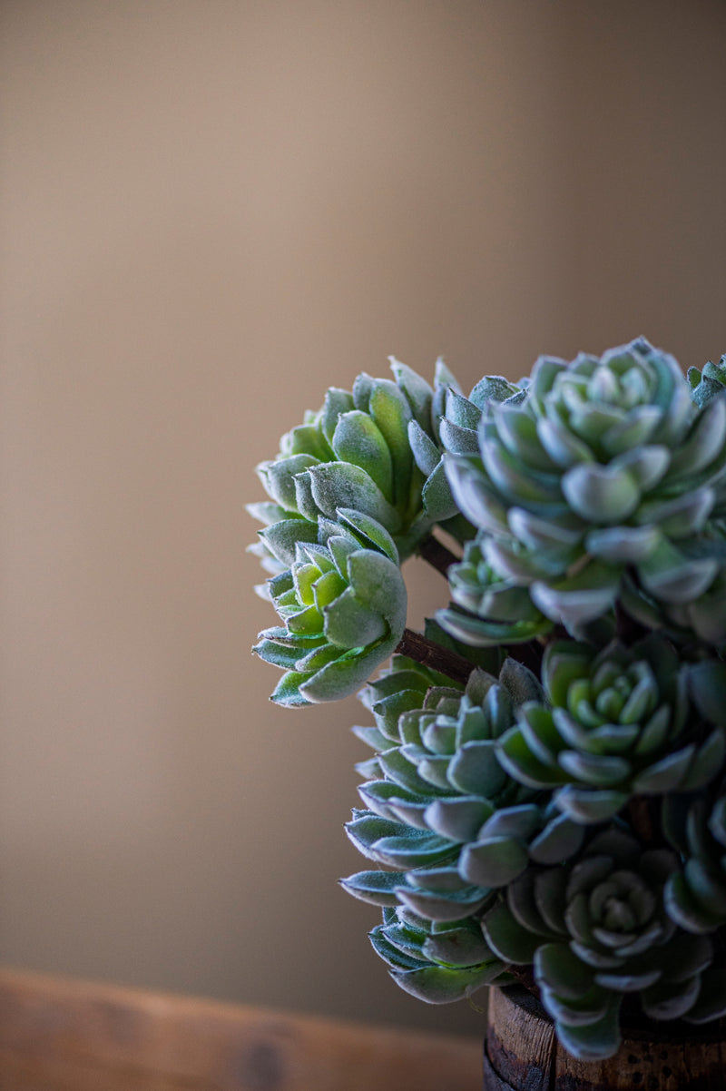 12" Flocked Green 5 Head Succulent Pick