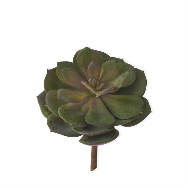7.5" Green & Burgundy Succulent Pick