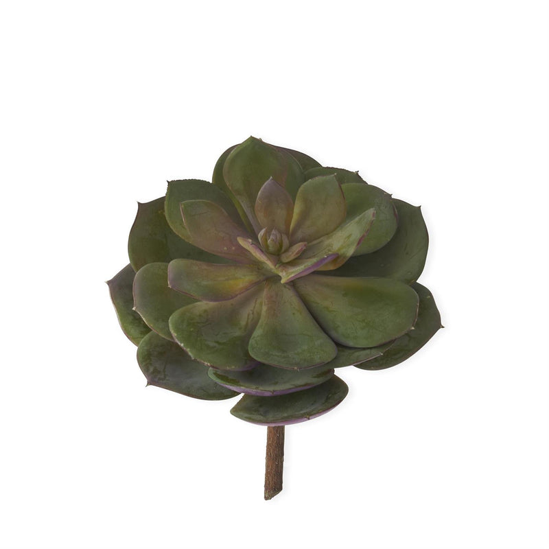 7.5" Green & Burgundy Succulent Pick