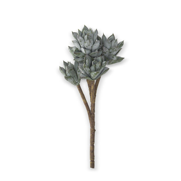 13" Powdered Green 5 Head Succulent Pick