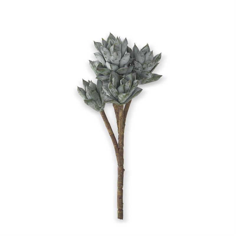 13" Powdered Green 5 Head Succulent Pick