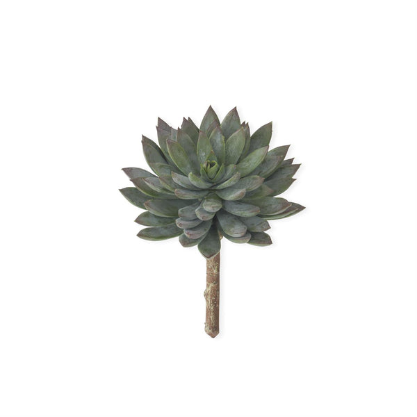 6.25" Green & Burgundy Tip Succulent Pick