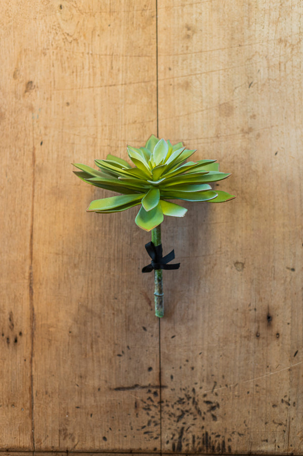 9" Two Tone Green Succulent Pick
