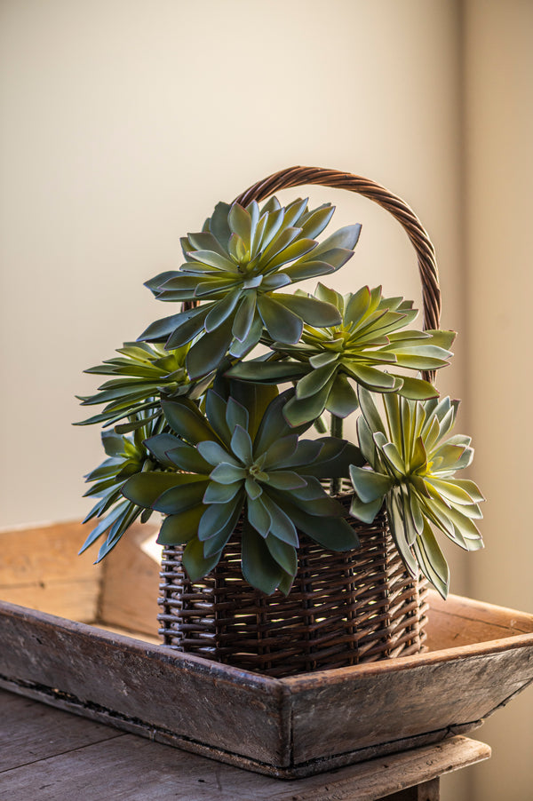 9" Two Tone Green Succulent Pick