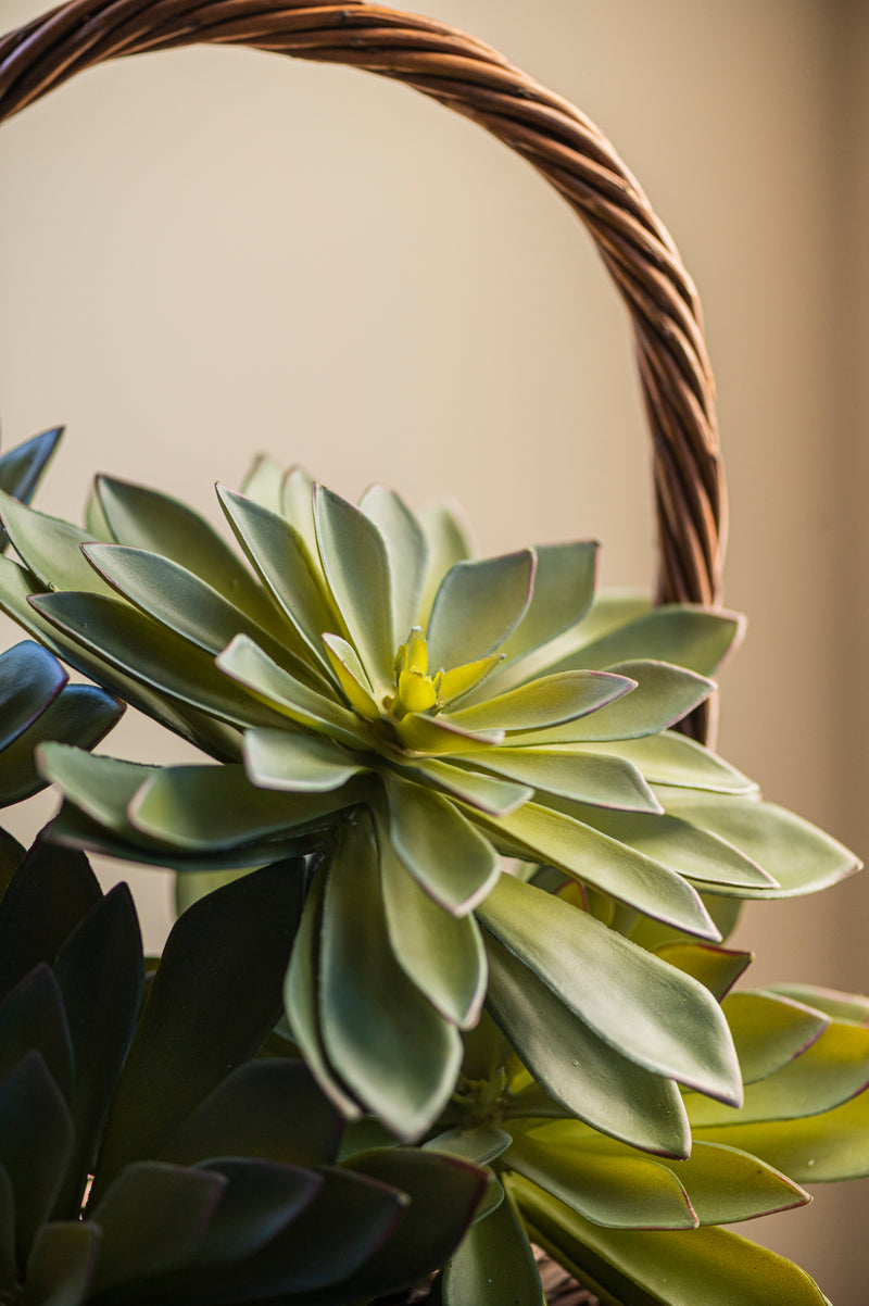 9" Two Tone Green Succulent Pick