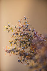 33 Inch Blue Berry Spray