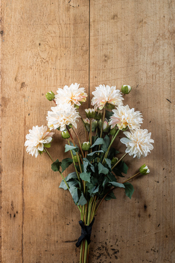 23" Cream Faux Dried Dahlia Bundle (3 Stems)