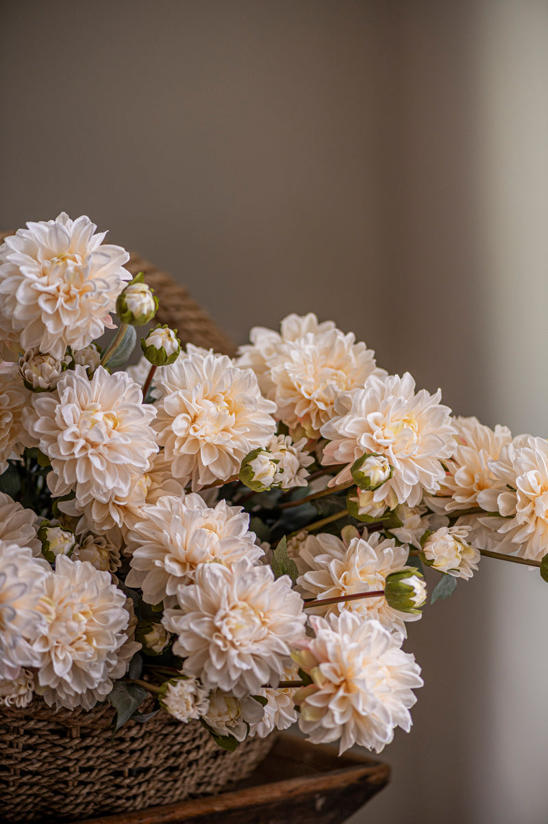 23" Cream Faux Dried Dahlia Bundle (3 Stems)