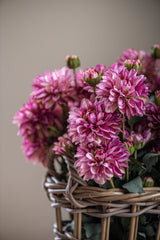 23" Purple Faux Dried Dahlia Bundle (3 Stems)