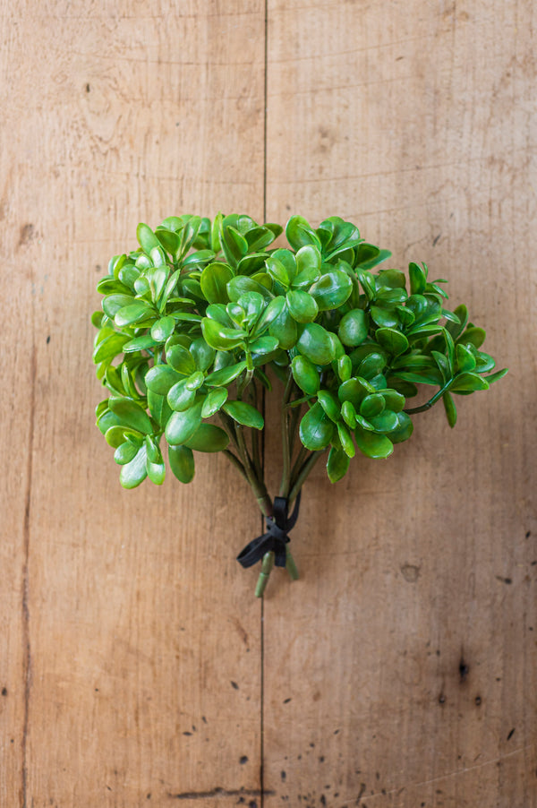 11.5 Inch Jade Pick