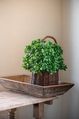 11.5 Inch Jade Pick