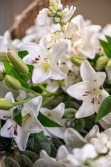 30" White Real Touch Lily 5 Blooms & 3 Buds Stem
