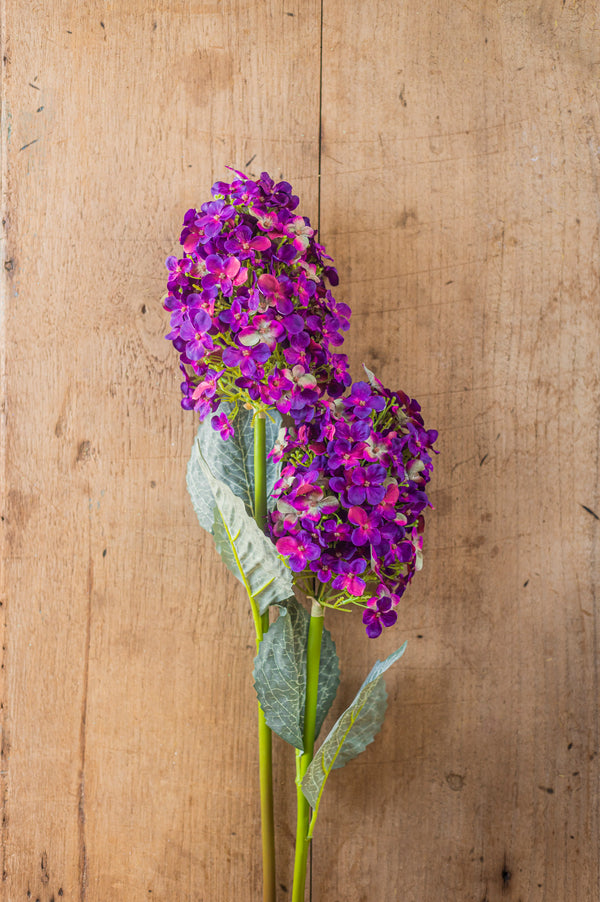 28" Dark Purple Cone Hydrangea