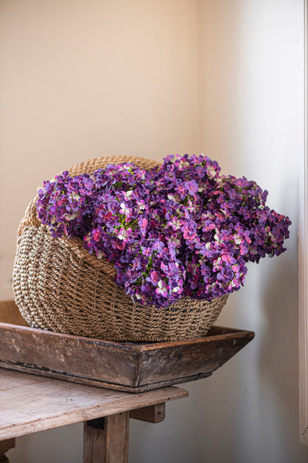 28" Dark Purple Cone Hydrangea