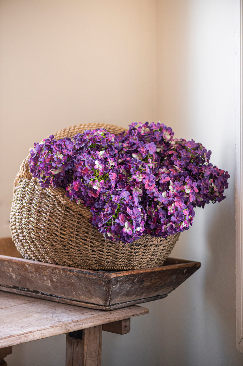 28" Dark Purple Cone Hydrangea