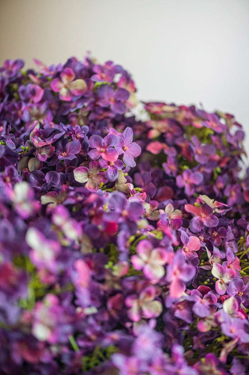 28" Dark Purple Cone Hydrangea