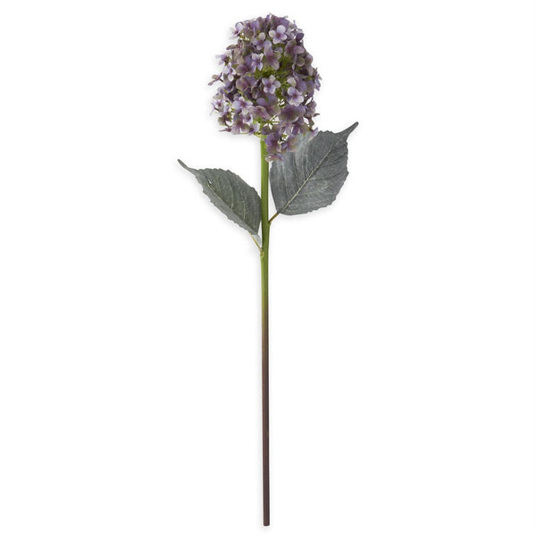 28" Light Purple Cone Hydrangea