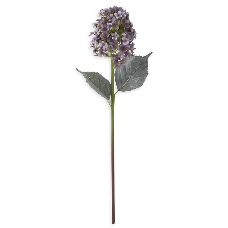 28" Light Purple Cone Hydrangea