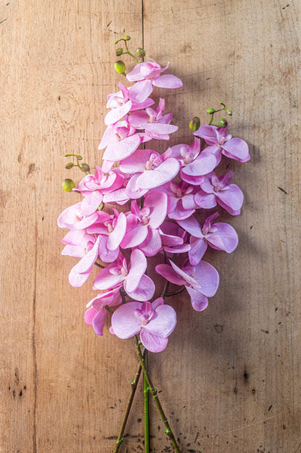 34.5" Purple Orchid Stem