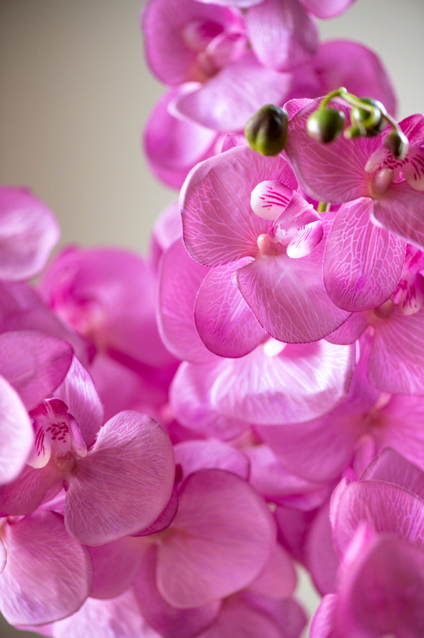 34.5" Purple Orchid Stem