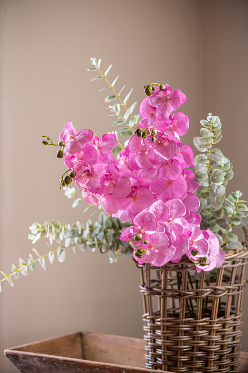 34.5" Purple Orchid Stem