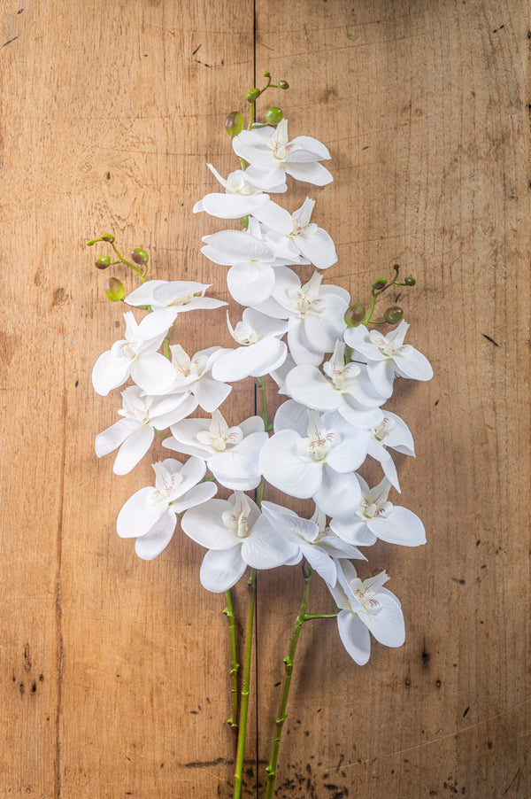 34.5" White Orchid Stem