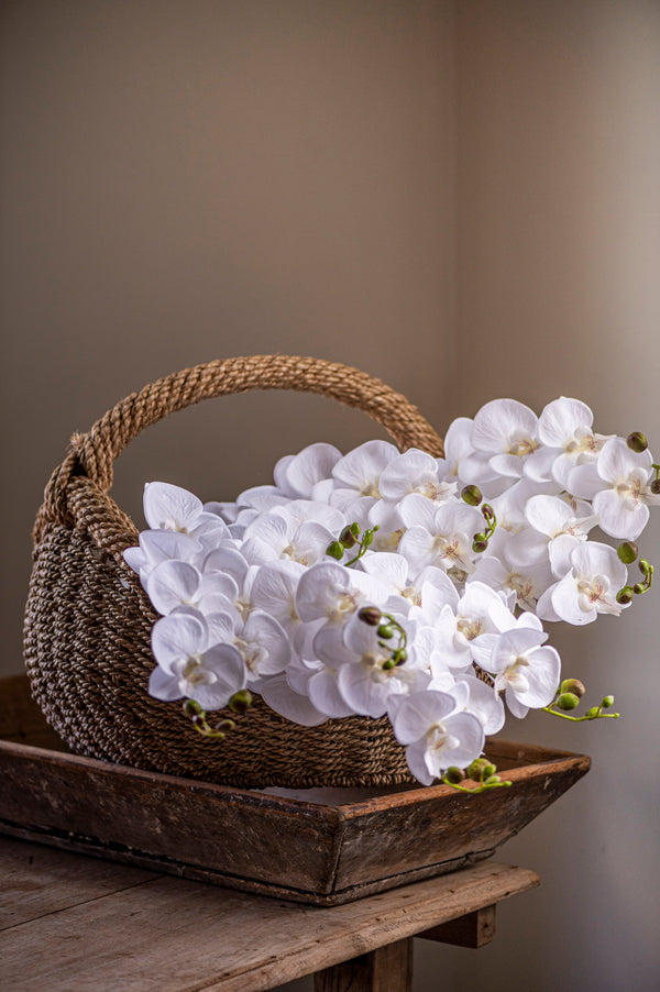 34.5" White Orchid Stem