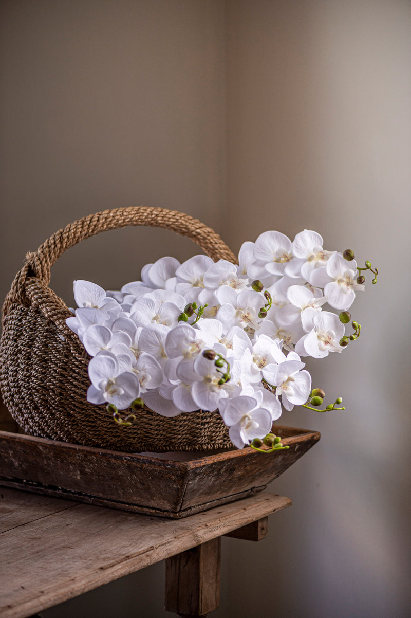 34.5" White Orchid Stem