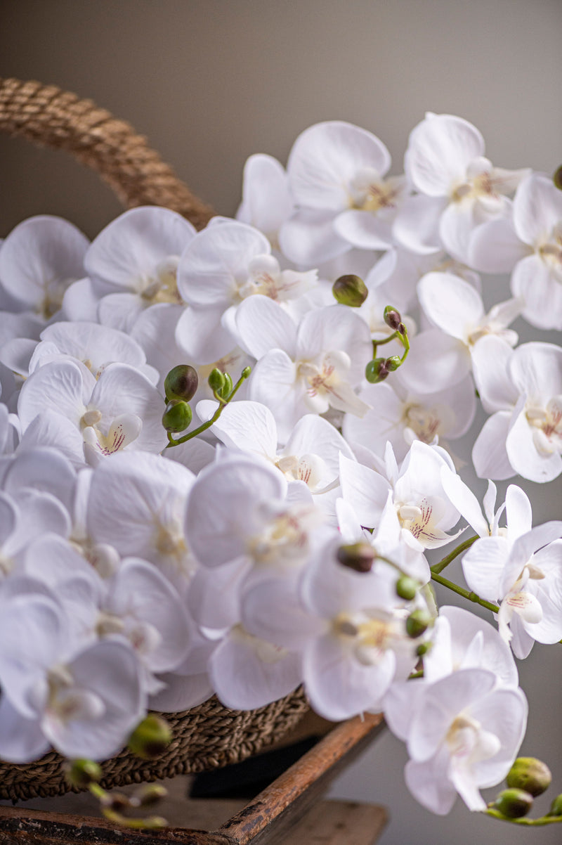 34.5" White Orchid Stem