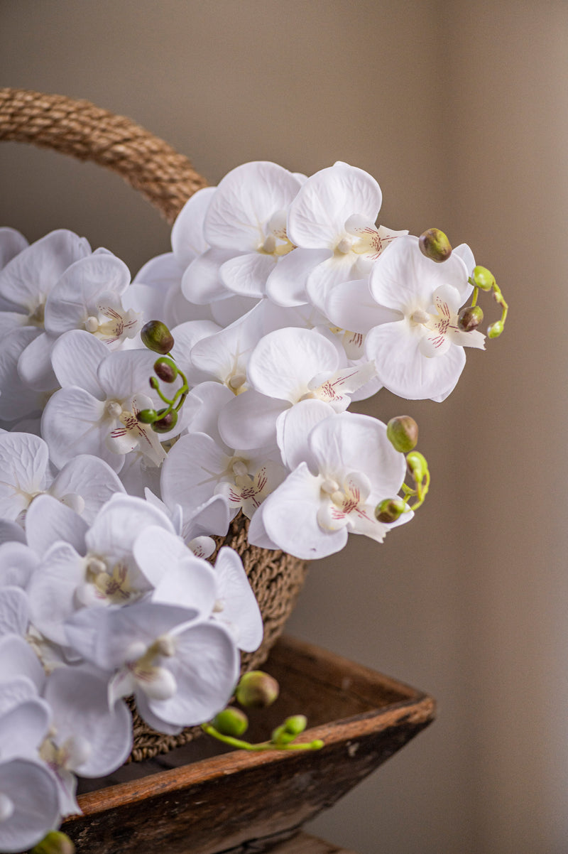 34.5" White Orchid Stem