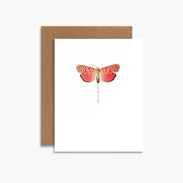 Like No Other Moth