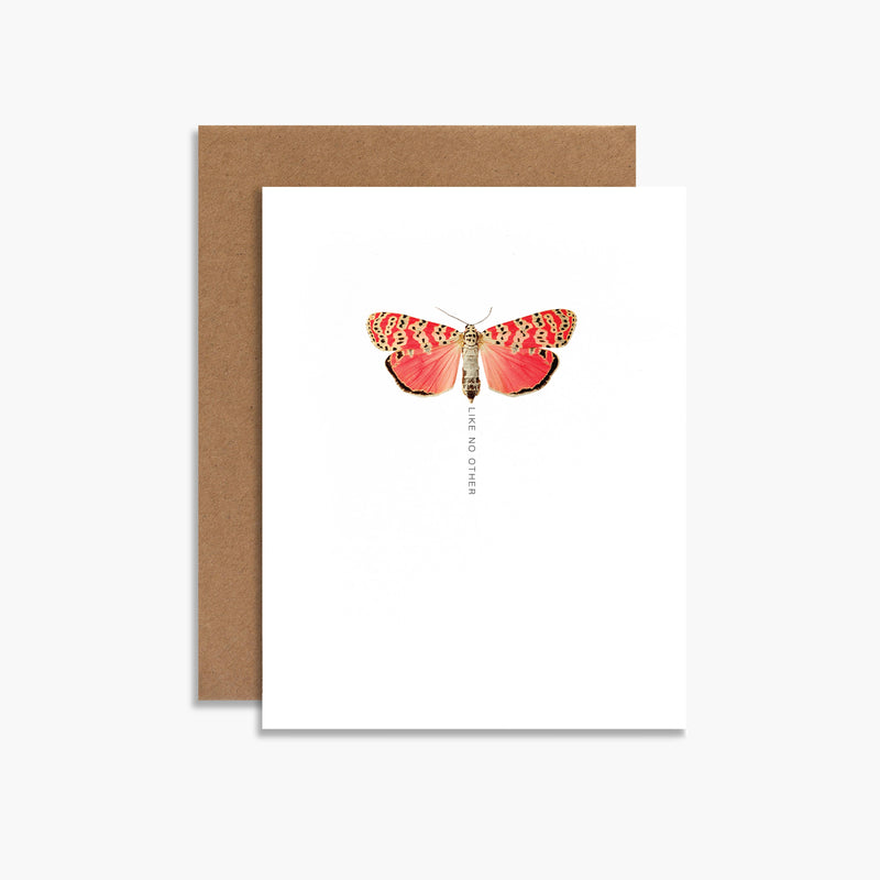 Like No Other Moth
