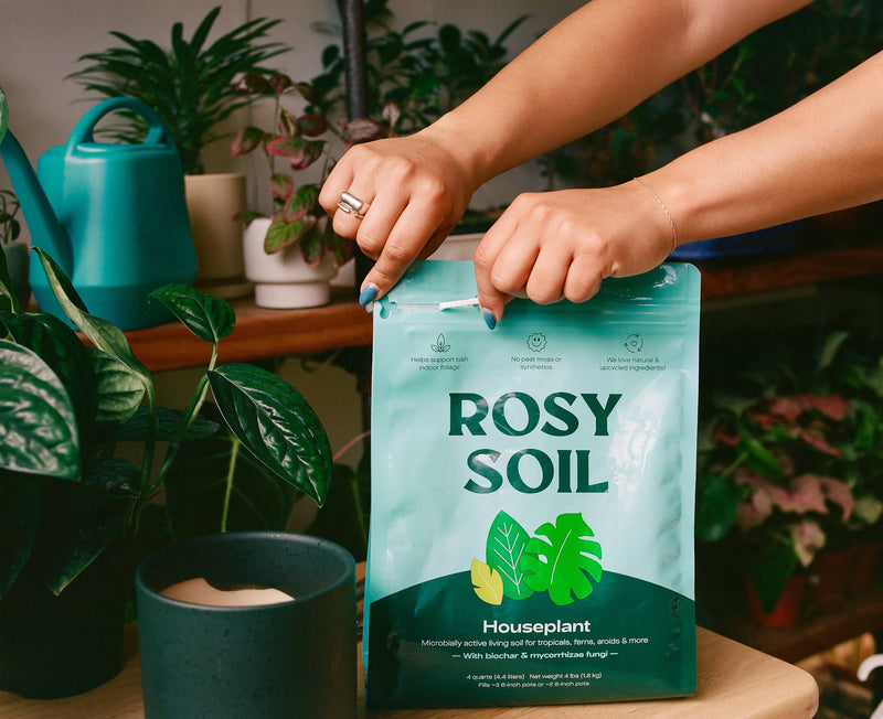 is potting mix ok for herbs 4qt Organic potting soil mix, indoor, houseplant & herbs – The Margaret Cleveland