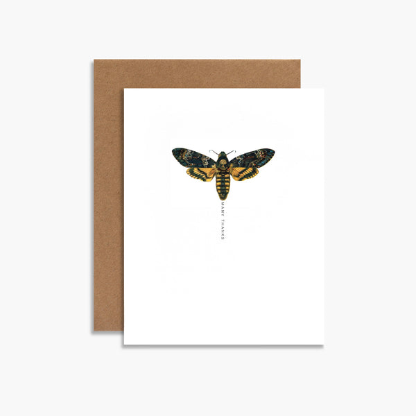 Many Thanks Moth Greeting Card