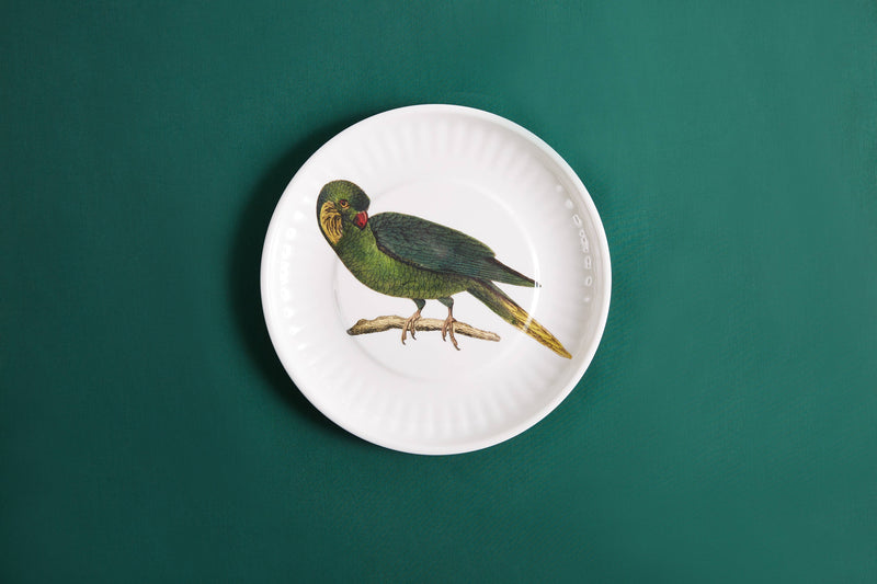 Parrot Lg. Paper Plates Melamine